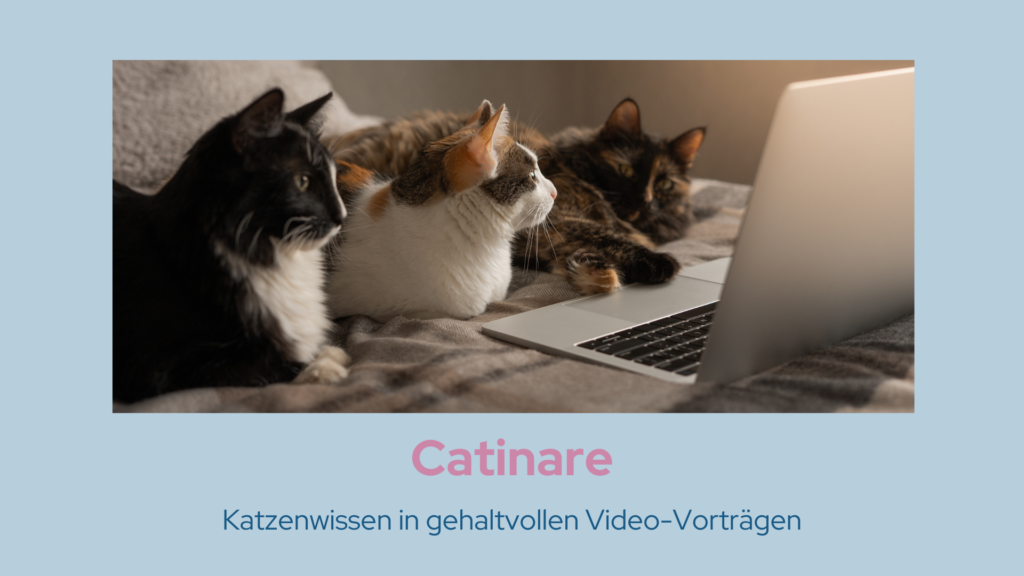 Catinare Video-Vorträge