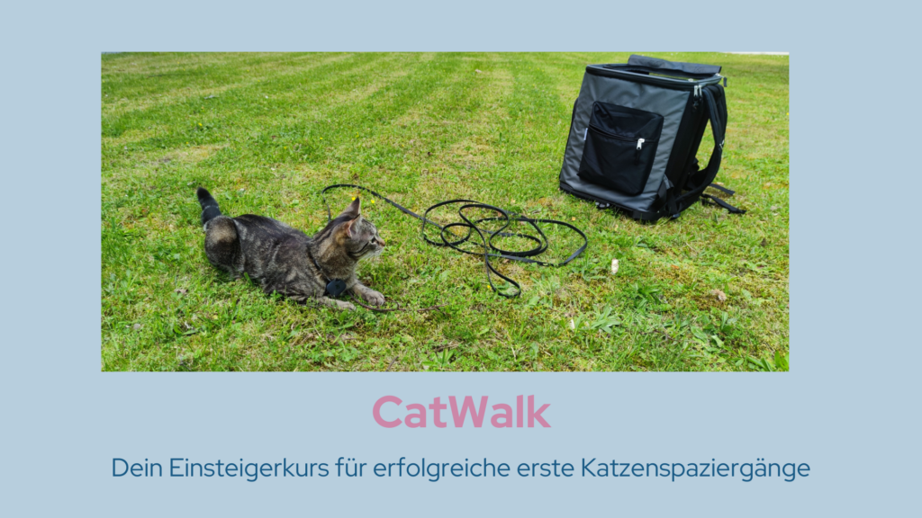 CatWalk Linkseite Titelbild