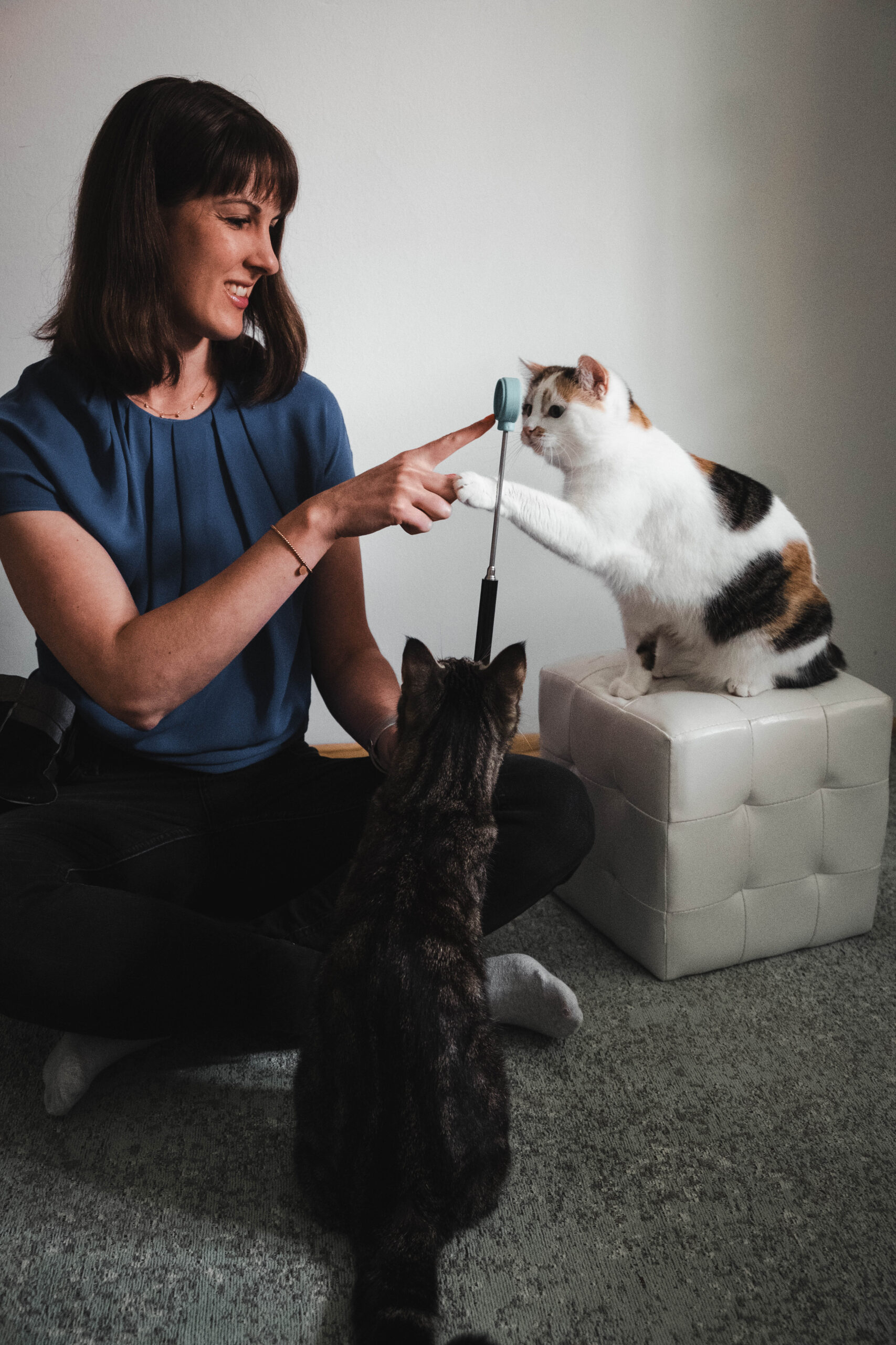 Katzentraining mit Leni und Boomi