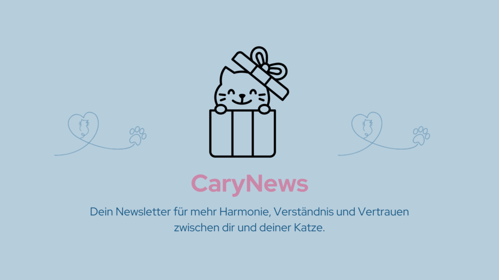 CaryNews Newsletter