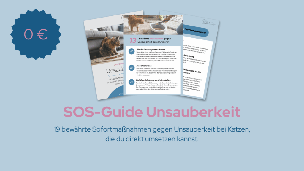 SOS-Guide Unsauberkeit bei Katzen