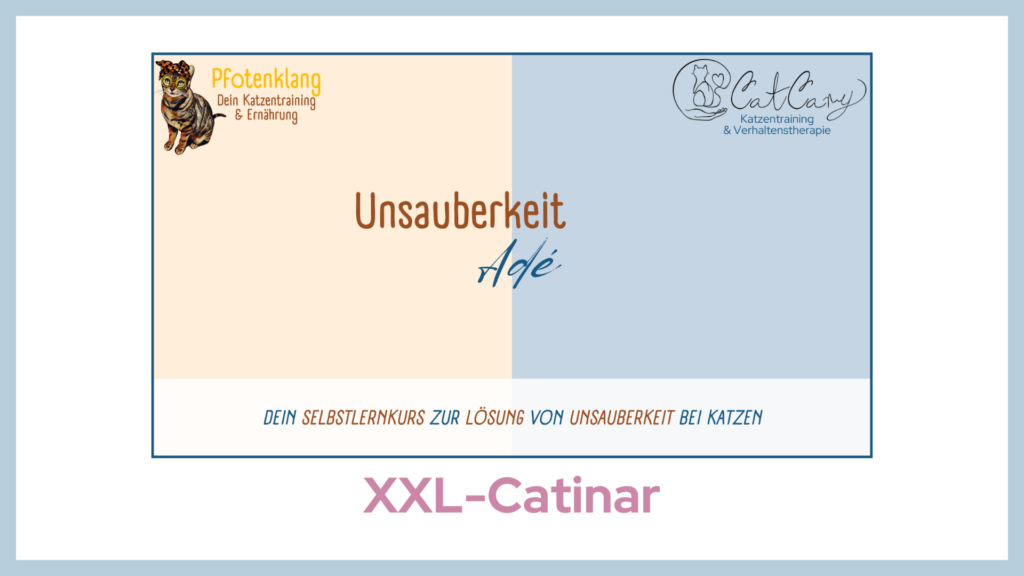 XXL-Catinar Unsauberkeit Adé