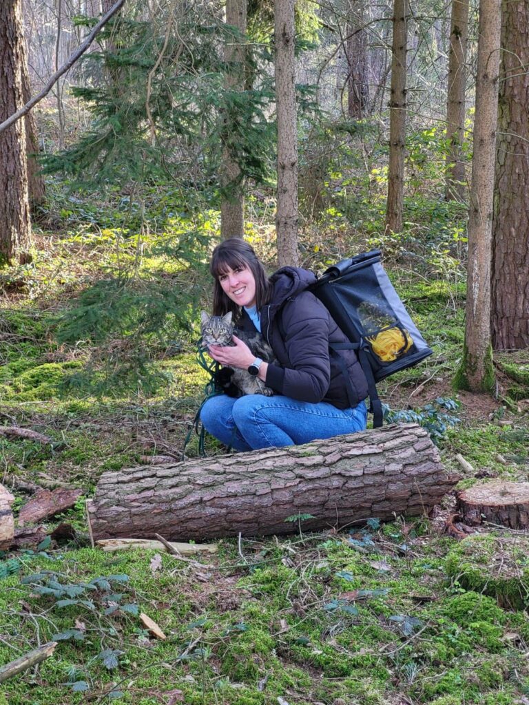 Boomi CatWalk Katzenspaziergang im Wald