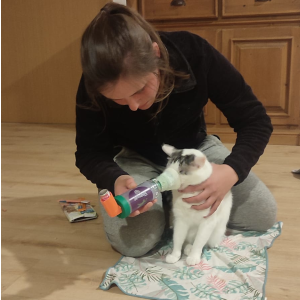 Inhalieren mit Katze Fritzi Methode geübte Fixation