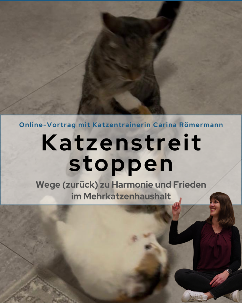 Titelbild Vortrag Katzenstreit stoppen