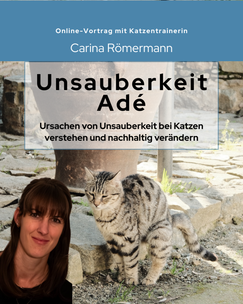 Titelbild Vortrag Unsauberkeit Adé