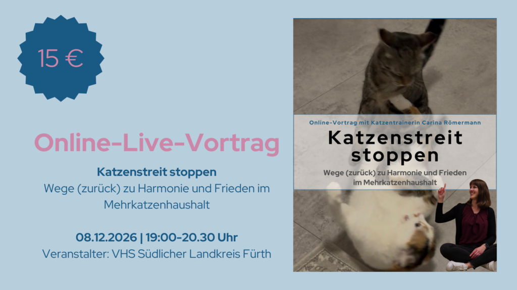 Online Live Vortrag Katzenstreit stoppen