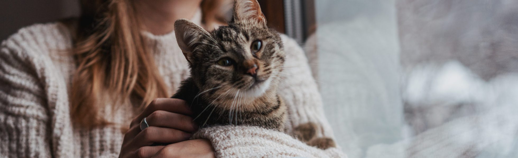 Kontakt CatCary Frau hält Katze auf dem Arm und schaut aus dem Fenster