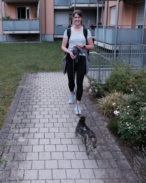 Katzenspaziergang mit Boomi im Garten