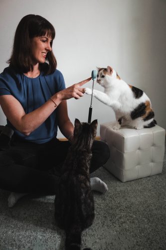 Katzentraining mit Leni und Boomi